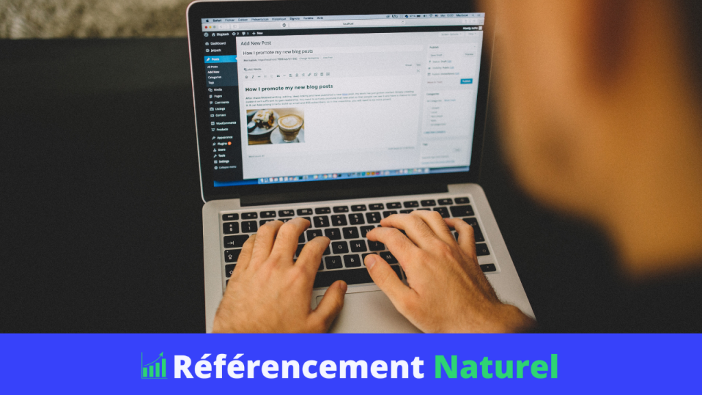 referencement on-page